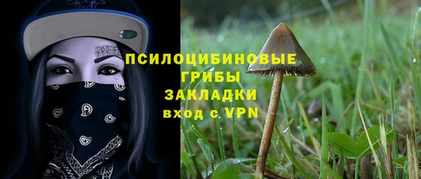 2c-b Армянск