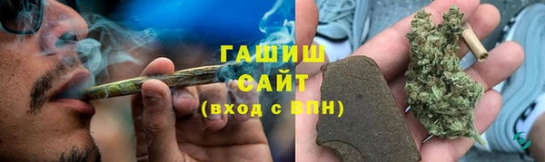 стафф Арсеньев
