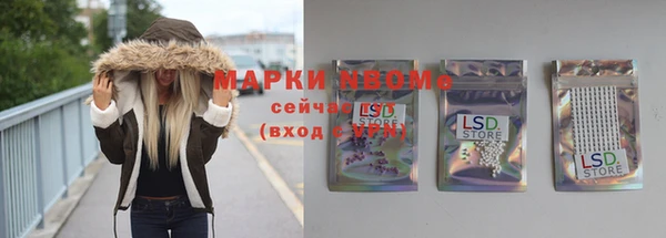 стафф Арсеньев