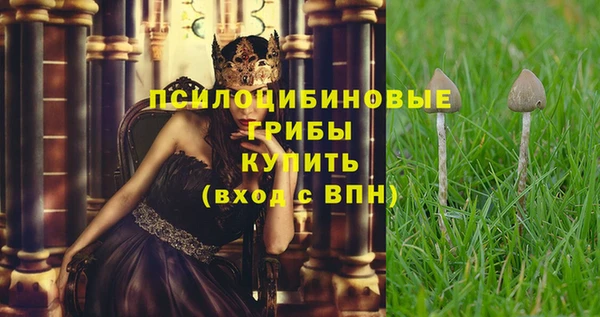 стафф Арсеньев