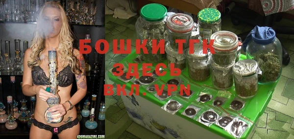 стафф Арсеньев