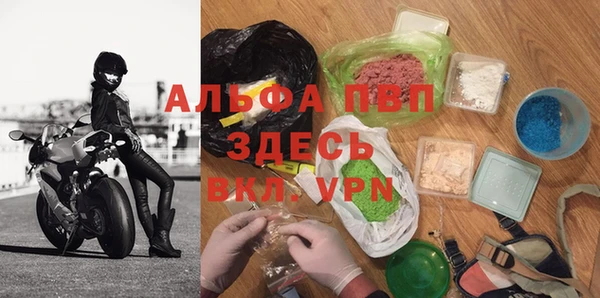 стафф Арсеньев