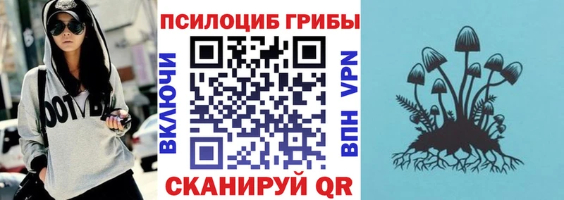 даркнет сайт Петухово дарк нет Telegram Галлюциногенные грибы ЛСД